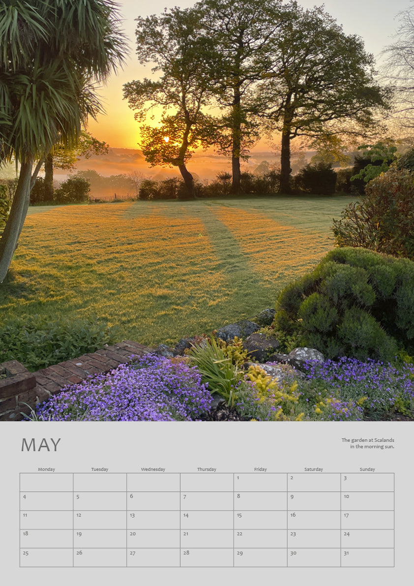 NEW! 2026 CALENDAR