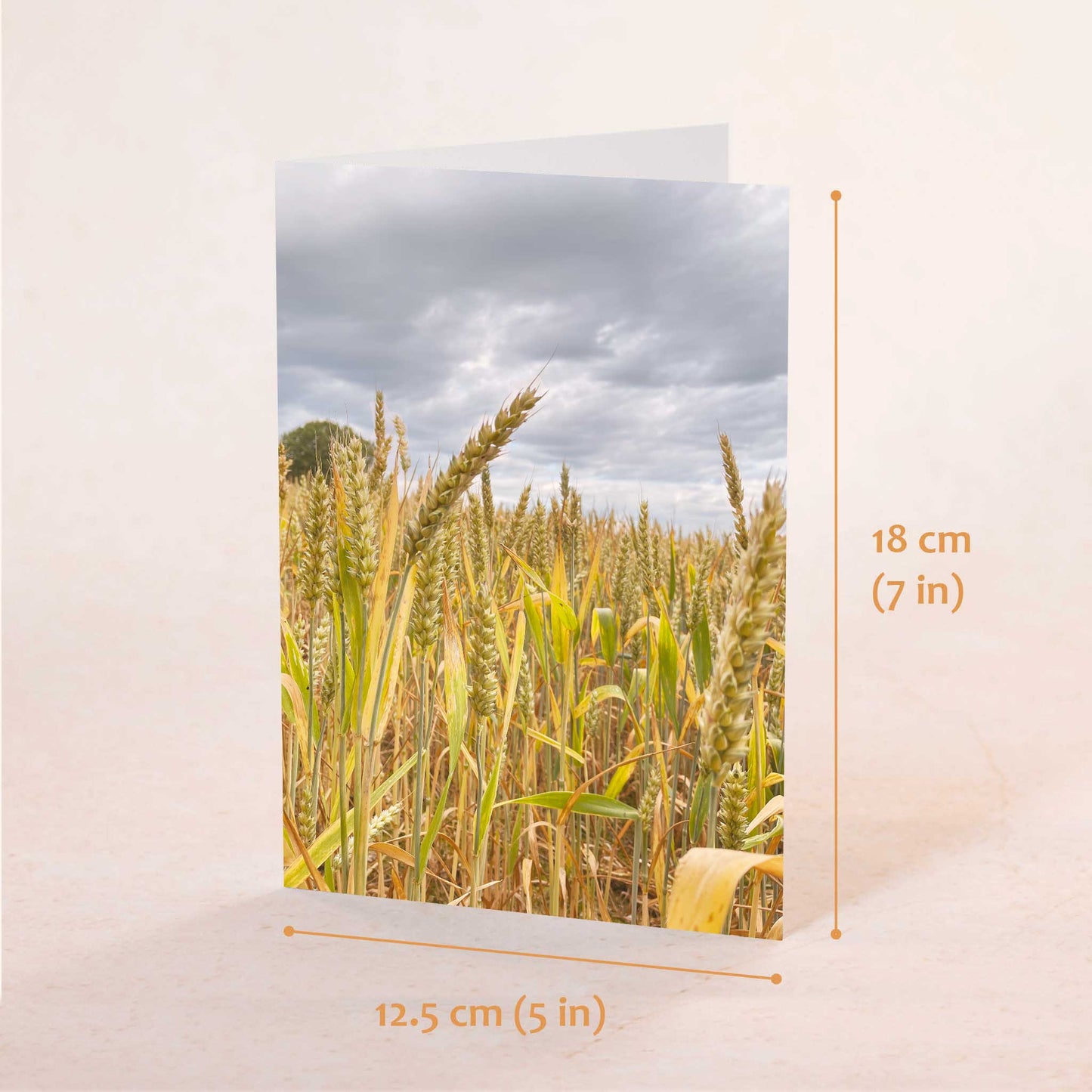 Wheat Field Greeting Card