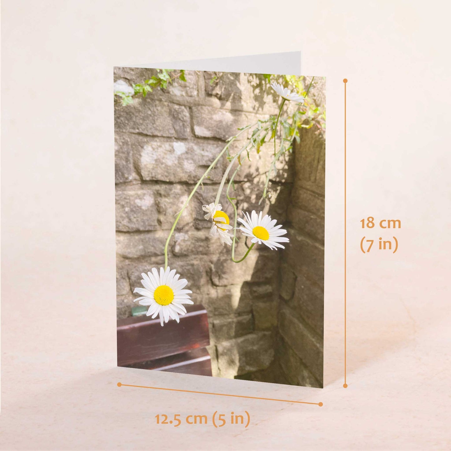 Reaching Daisies