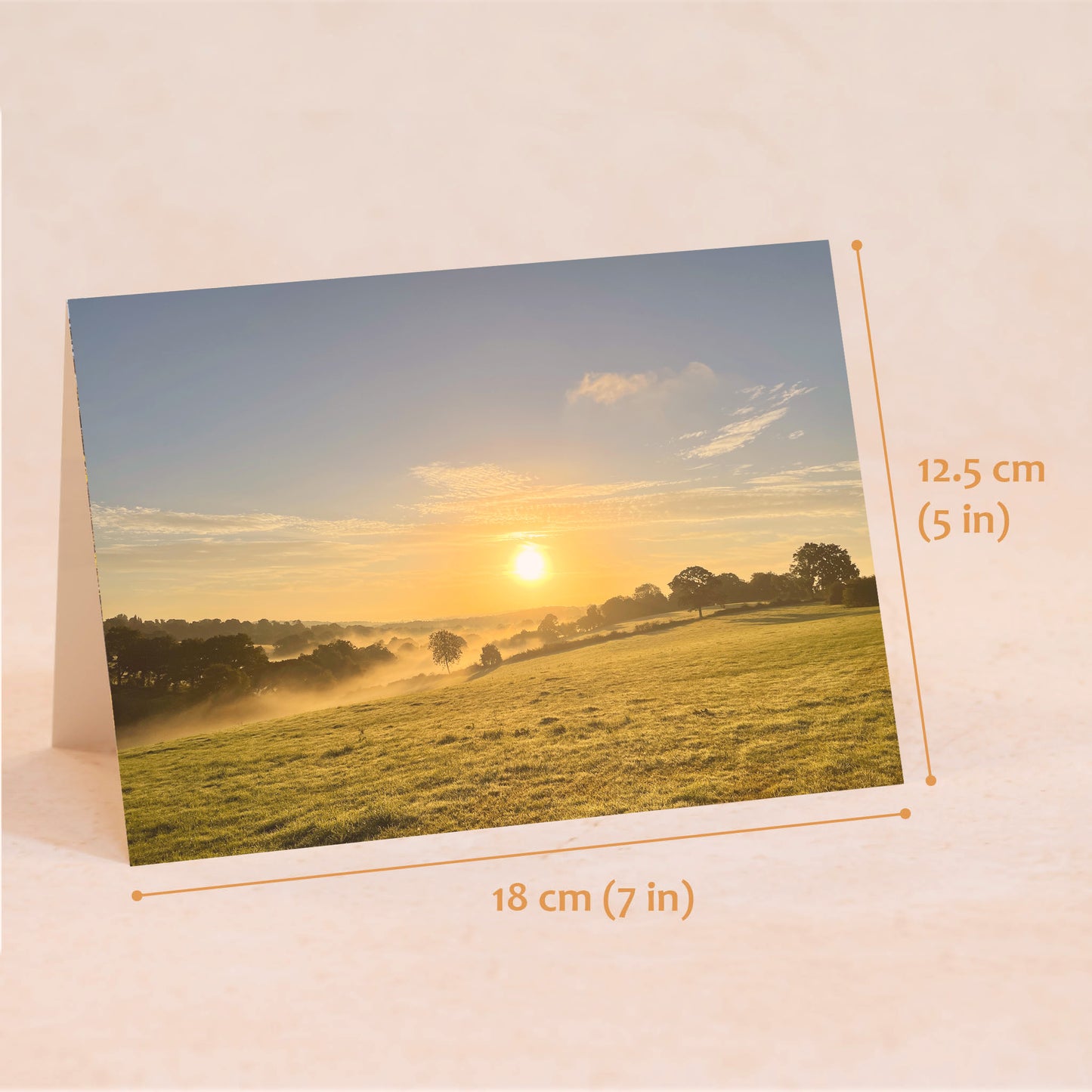 Morning Sun Greeting Card