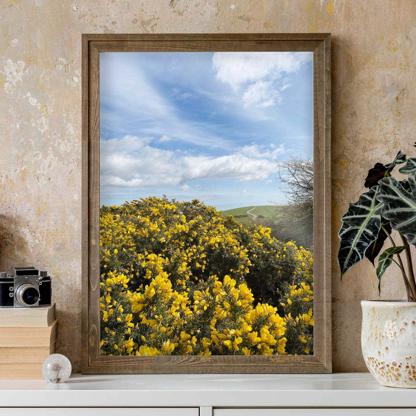 Firle Beacon Gorse Print