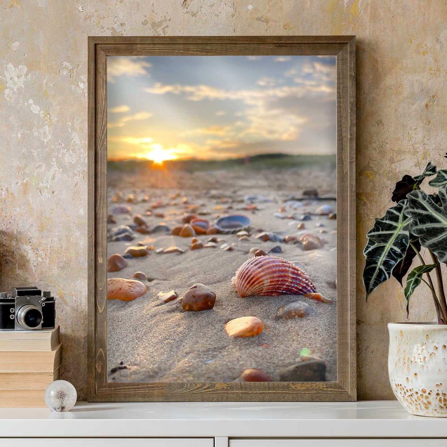 Glinting Shells