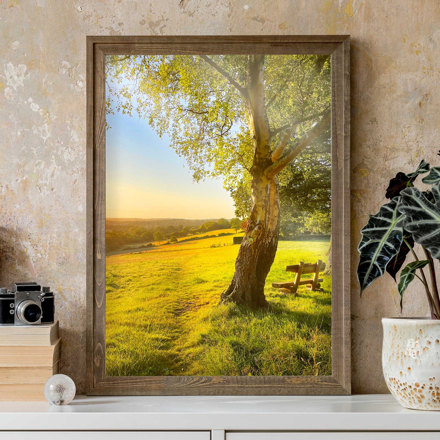 Valley View