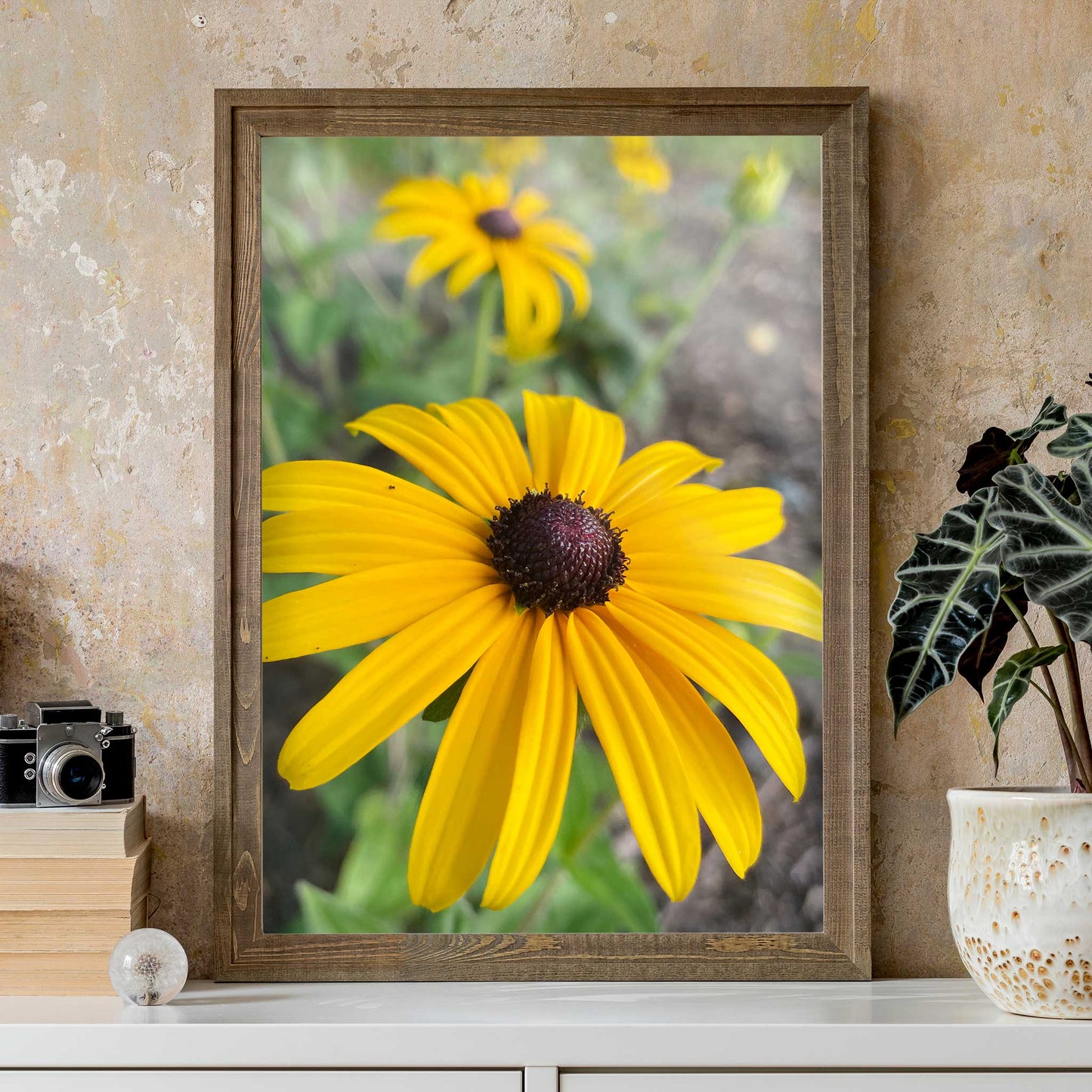 Black Eyed Susans Print