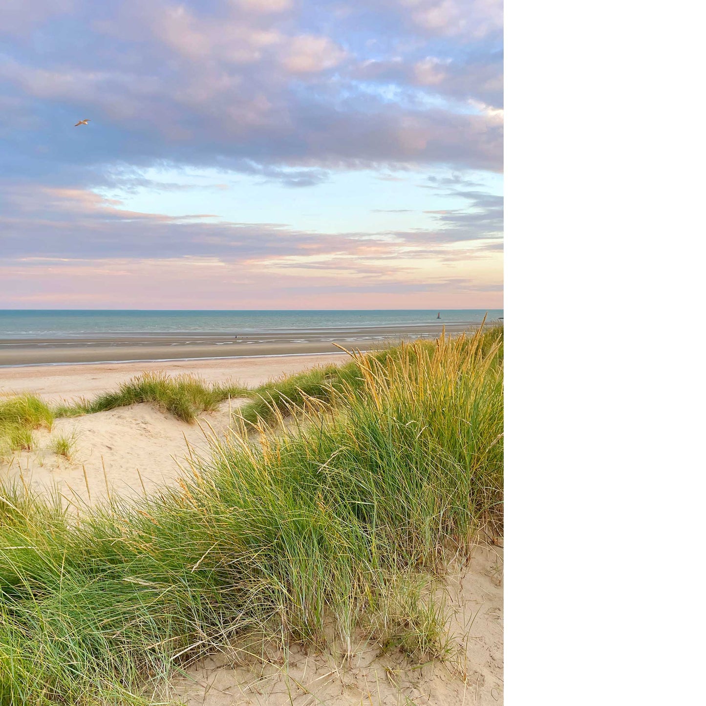 Camber Dunes