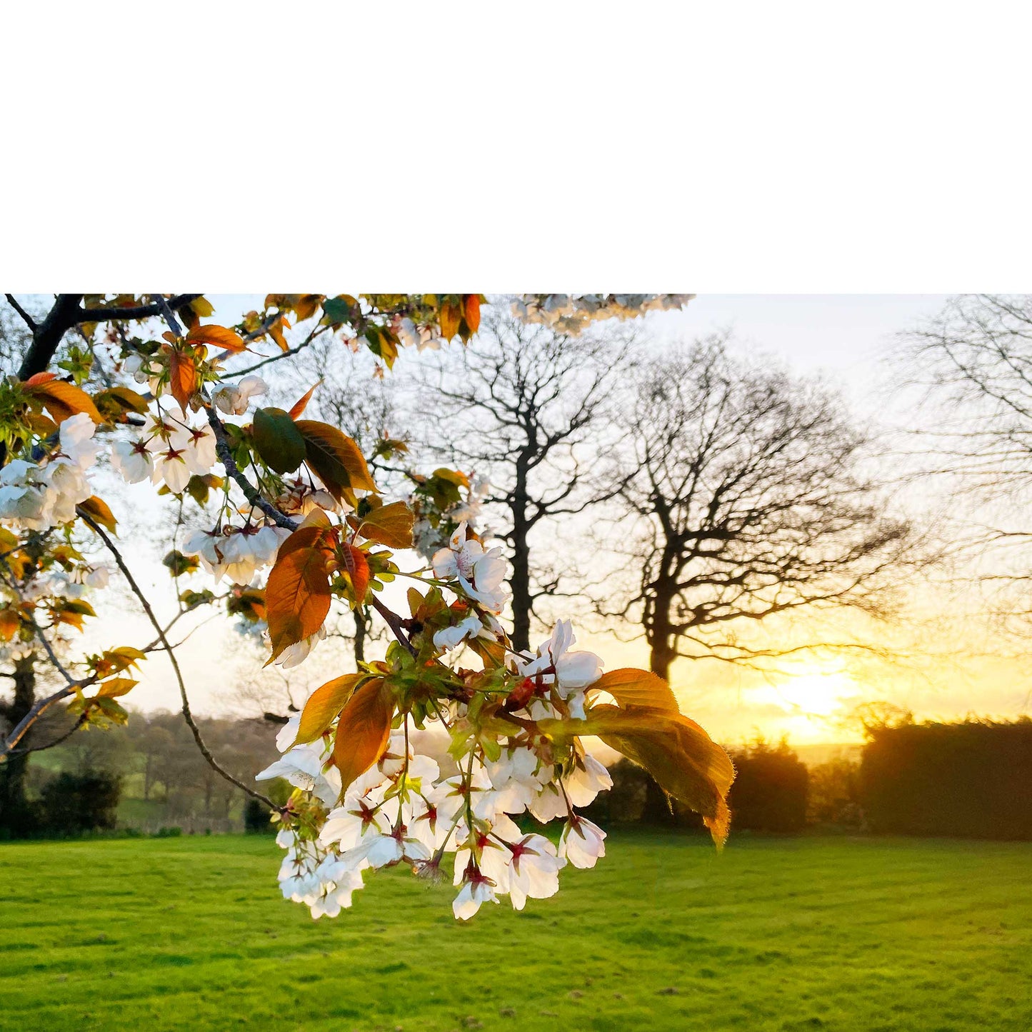 Spring!