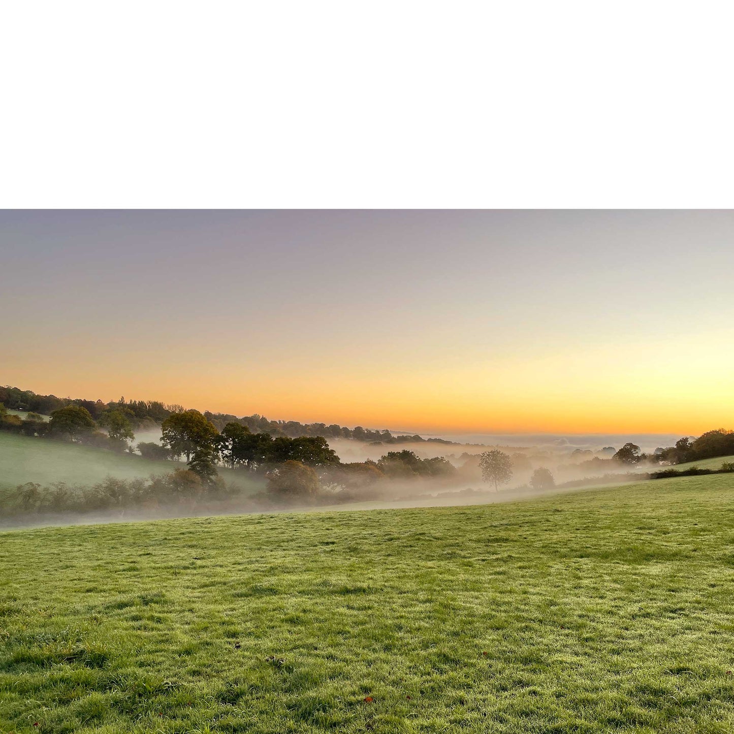 Autumn Dawn Print