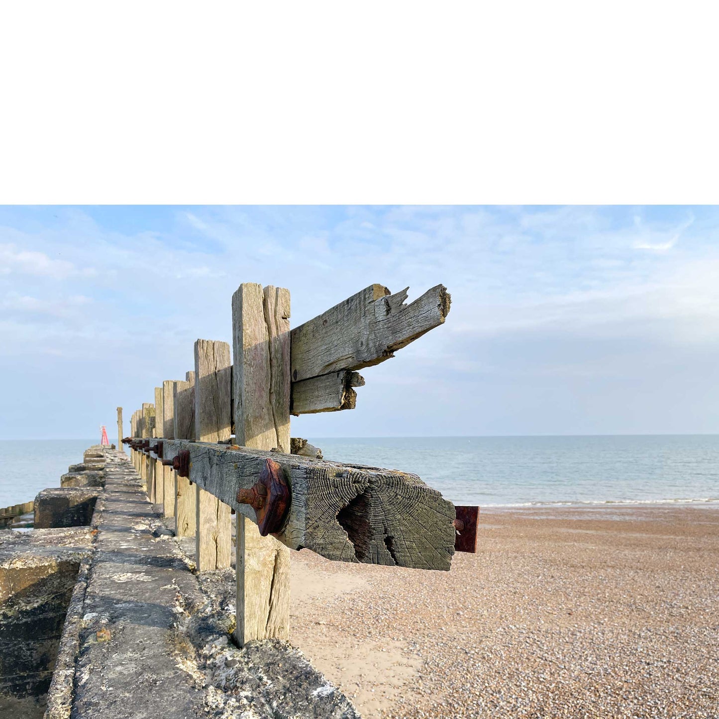 Coastal Protection Greeting Card