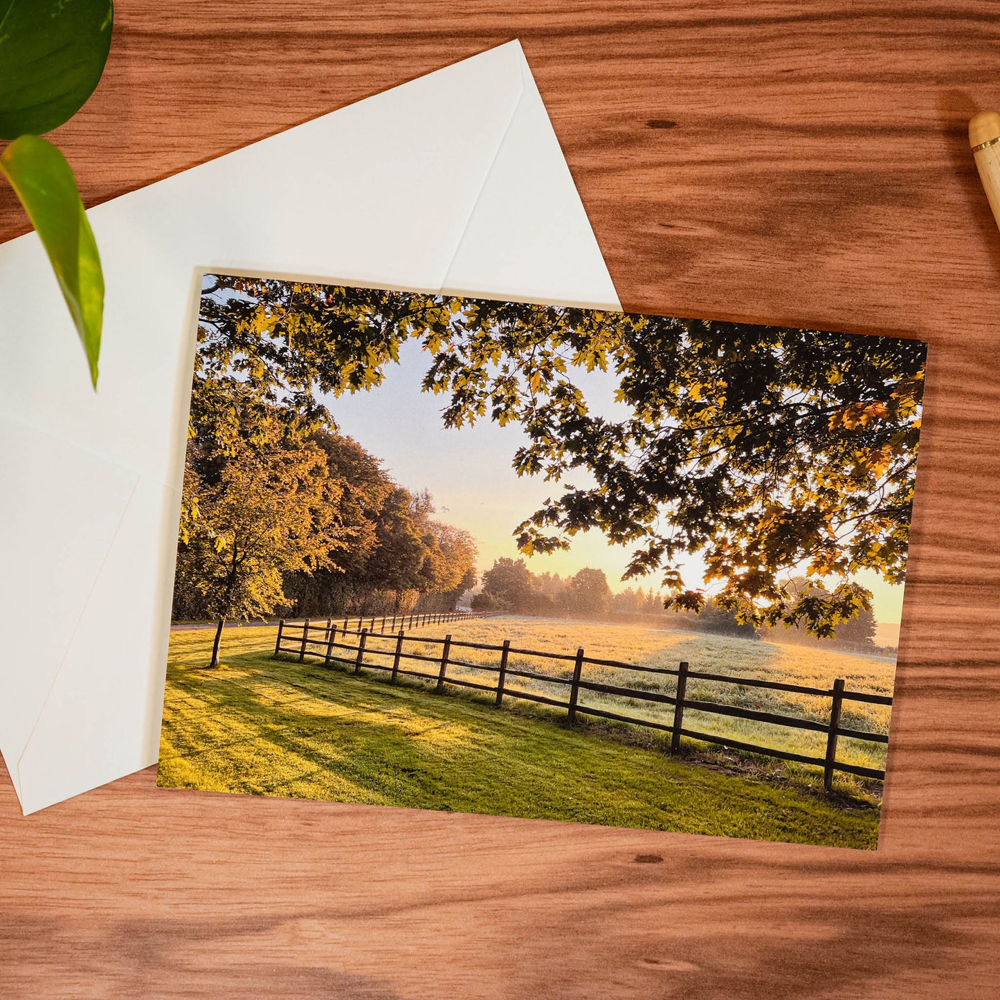 Autumn Light Greeting Card