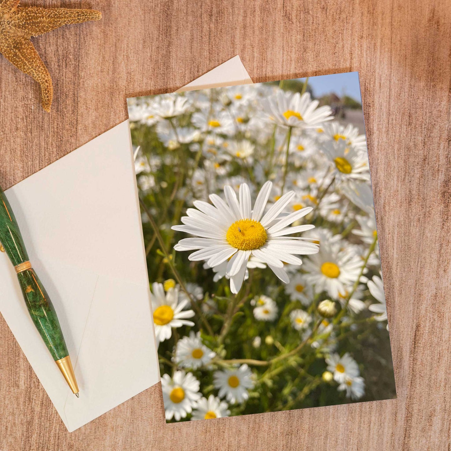 Daisy Glory Greeting Card