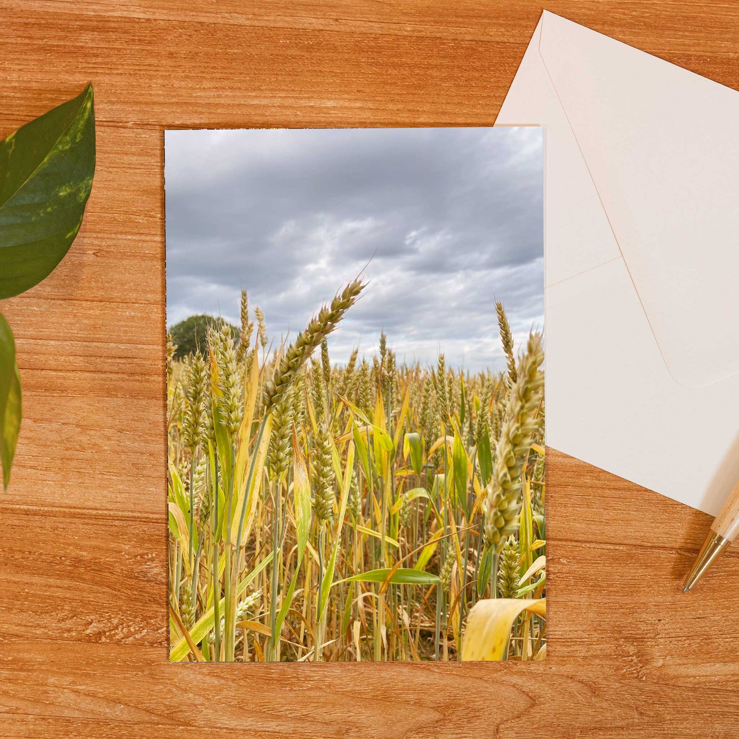 Wheat Field Greeting Card