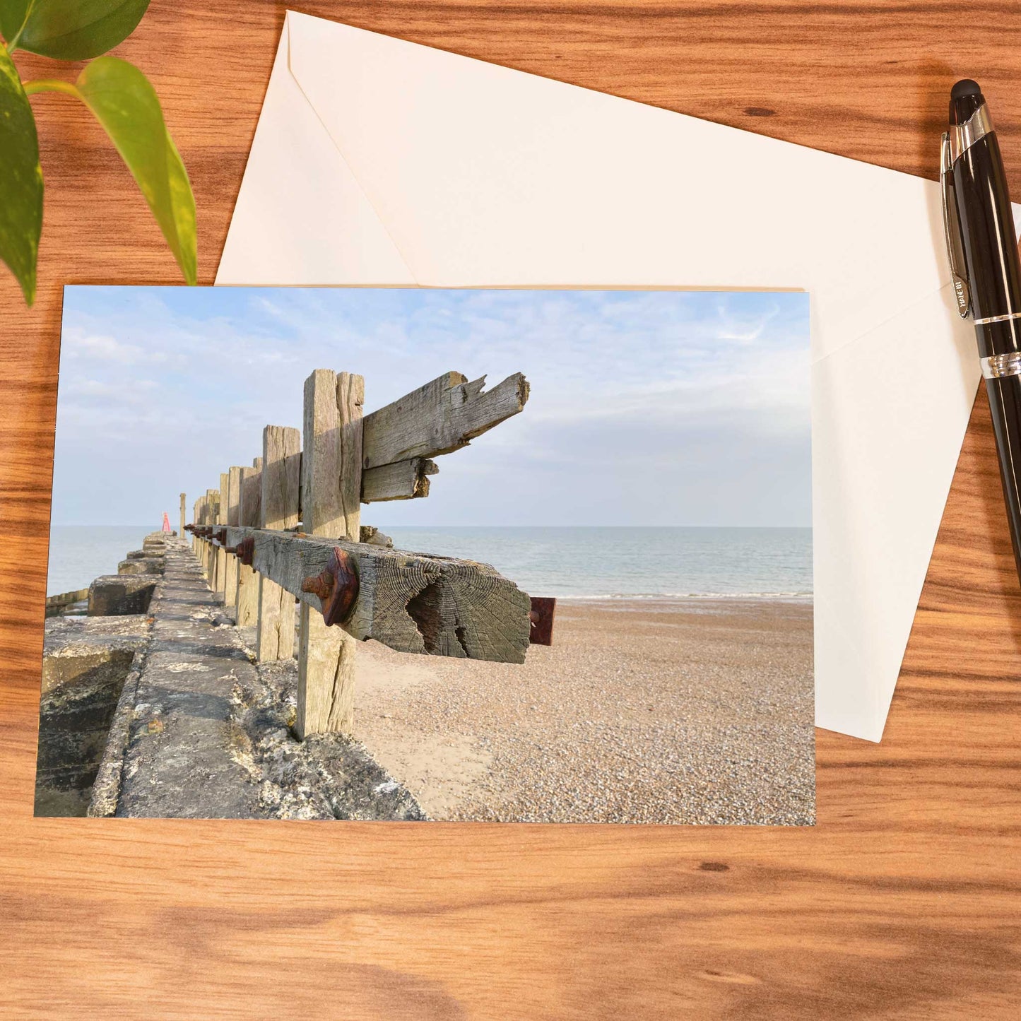 Coastal Protection Greeting Card