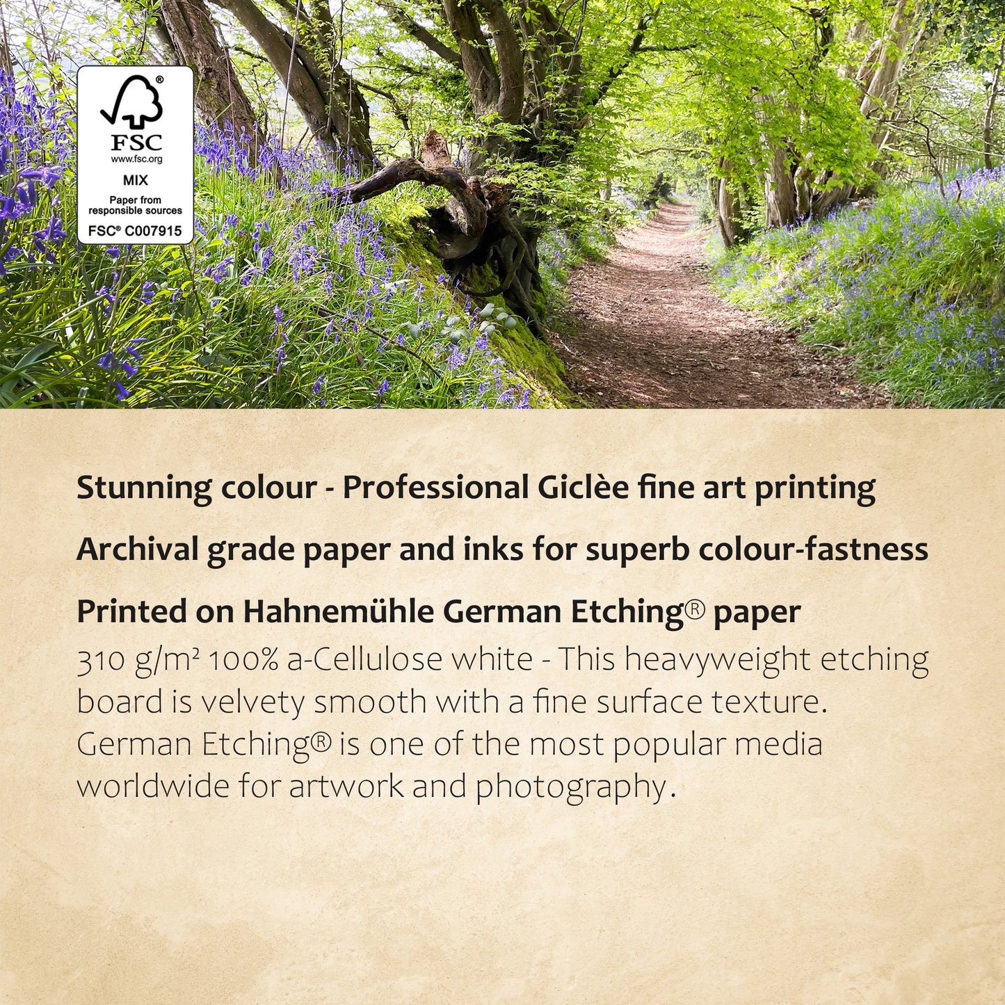 Sunken Lane in Spring Print