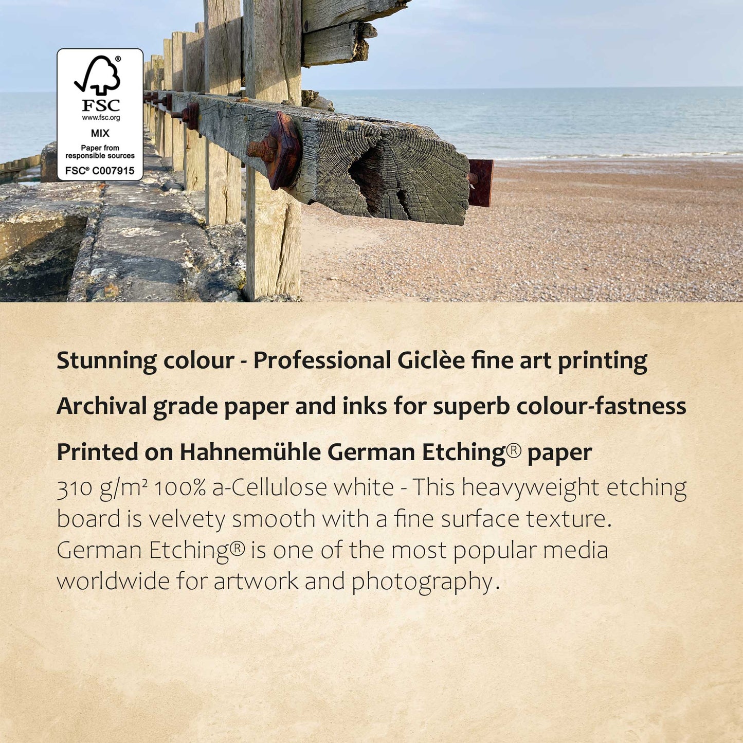 Coastal Protection Print