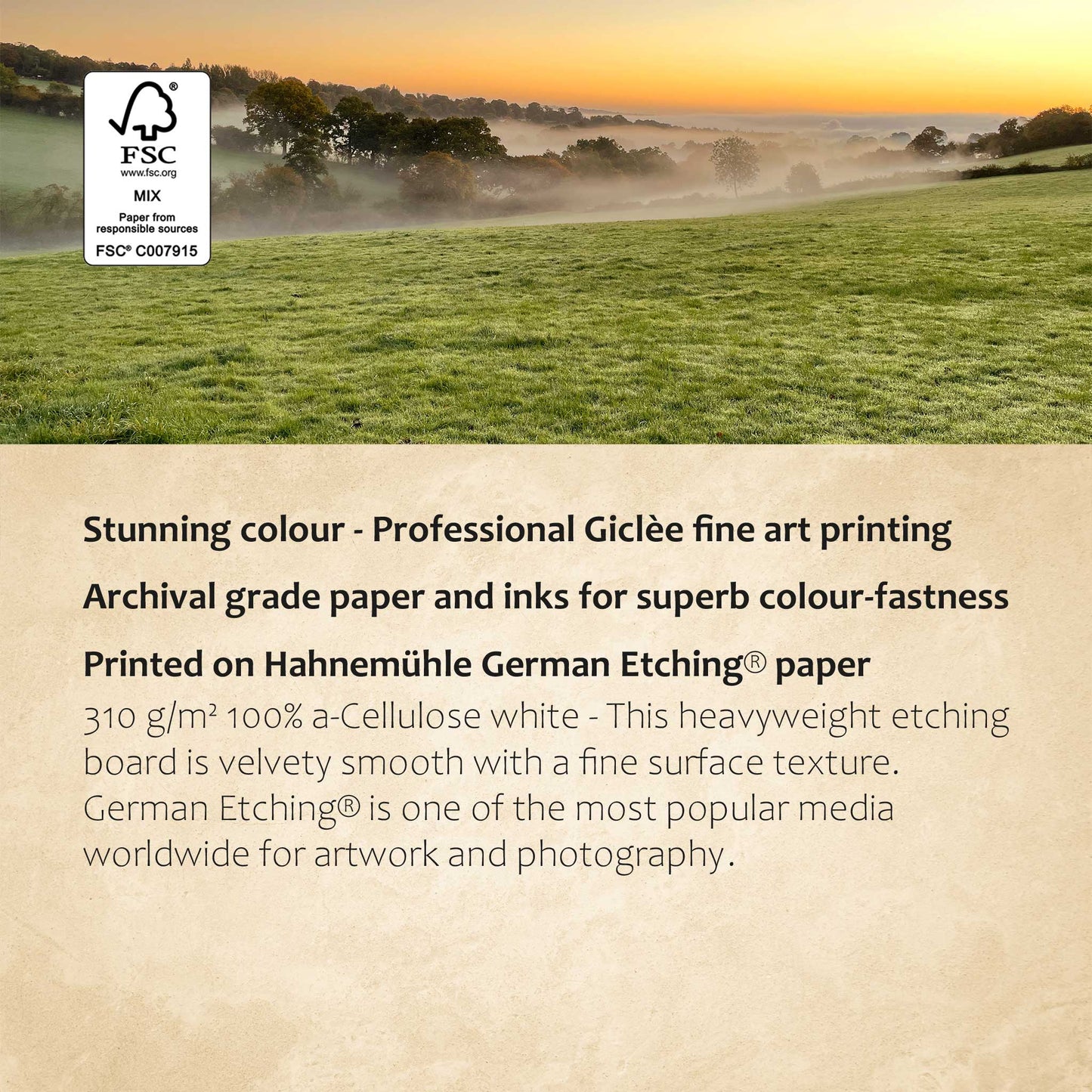 Autumn Dawn Print