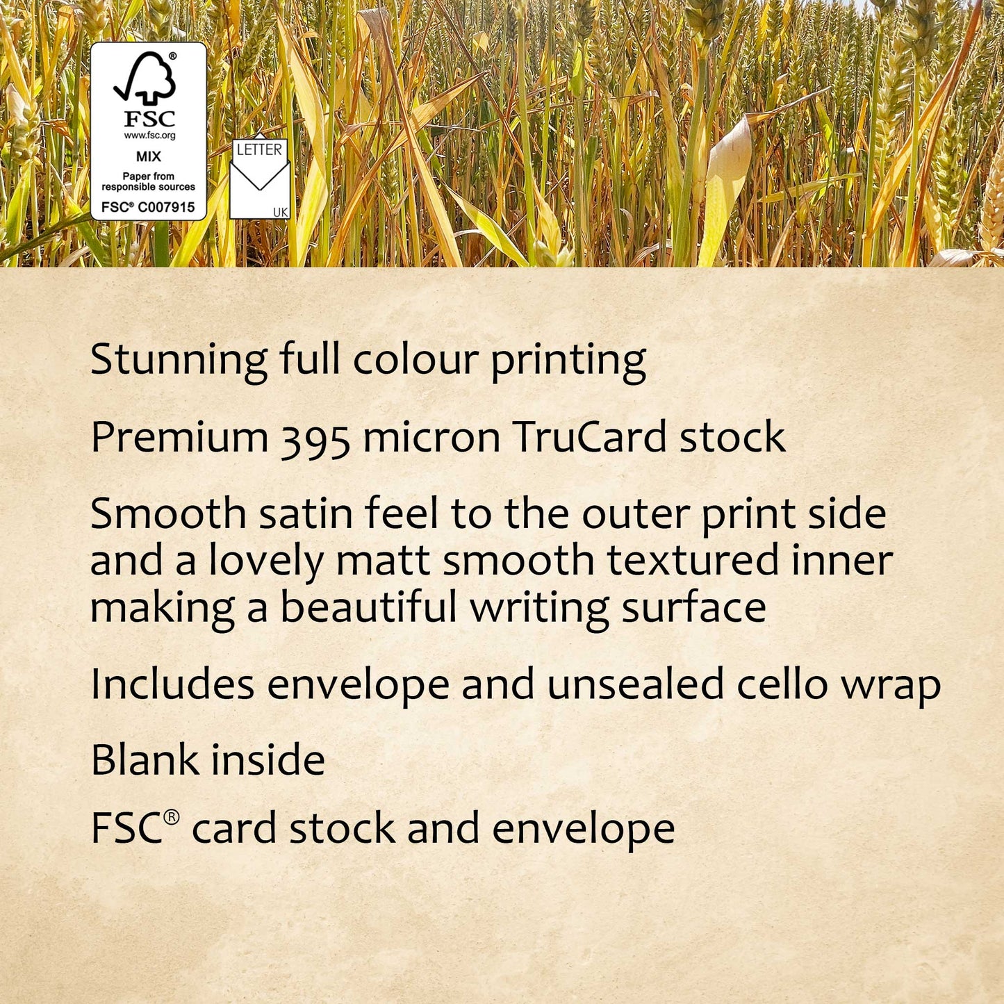 Sun-Ripened Wheat Greeting Card