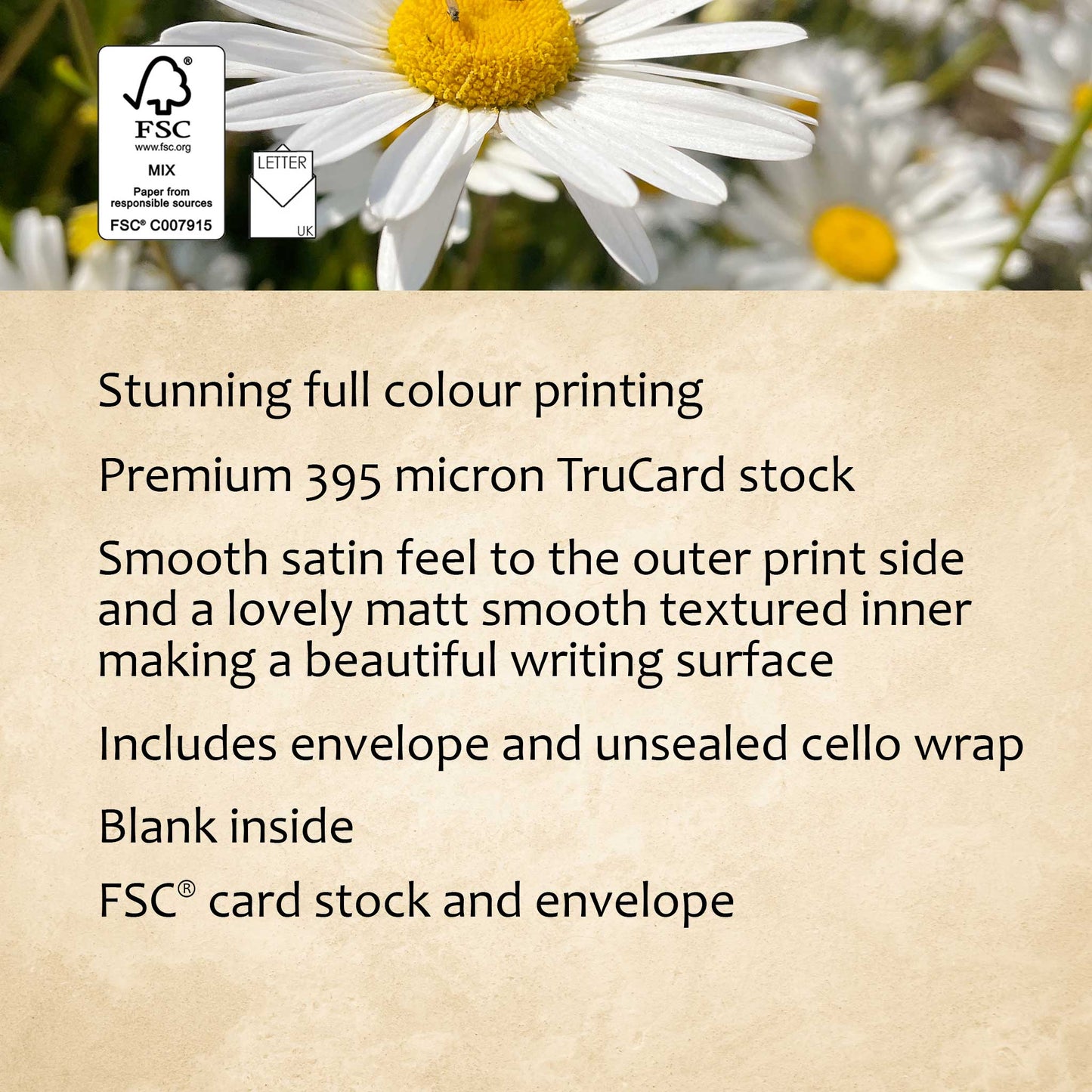 Daisy Glory Greeting Card
