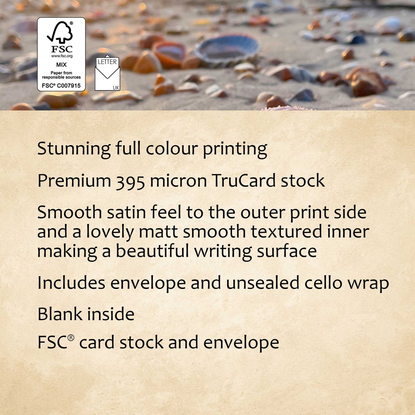 Glinting Shells