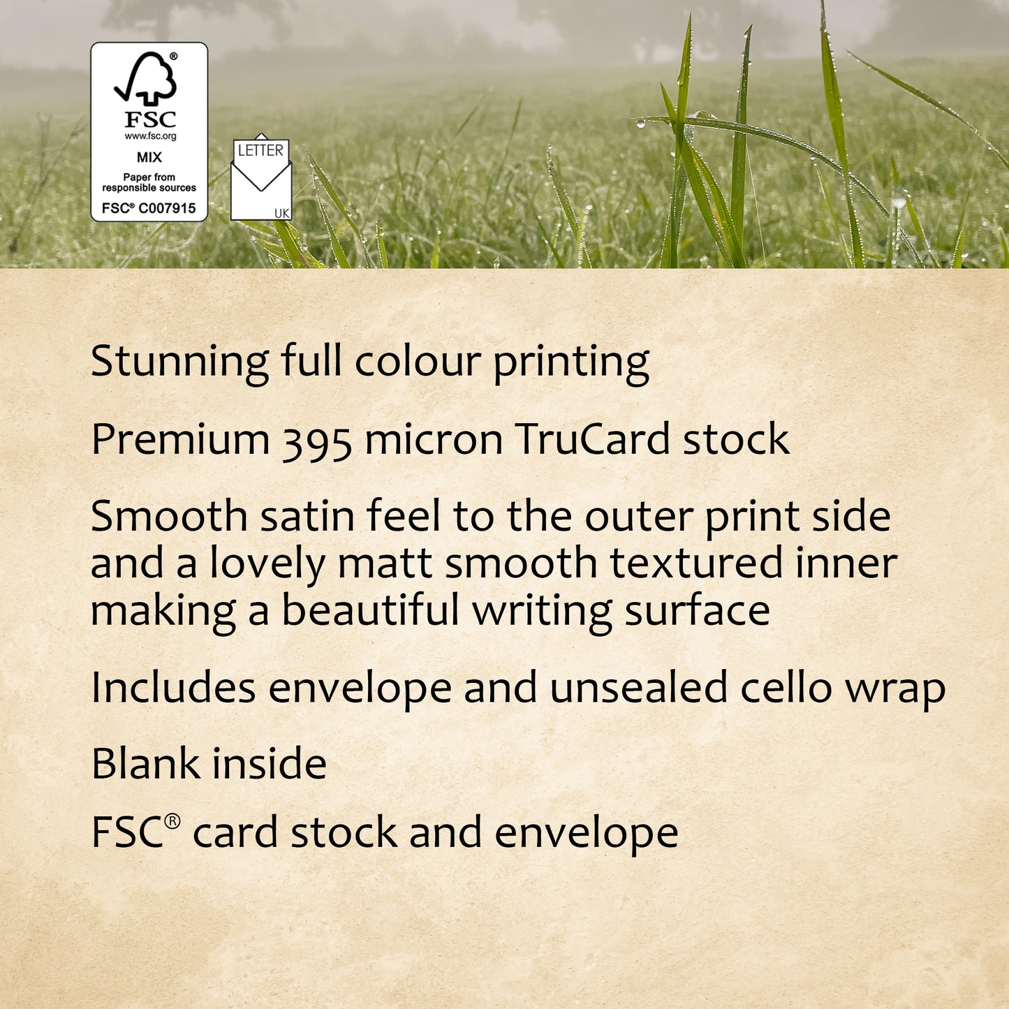 Autumn Mists Greeting Card