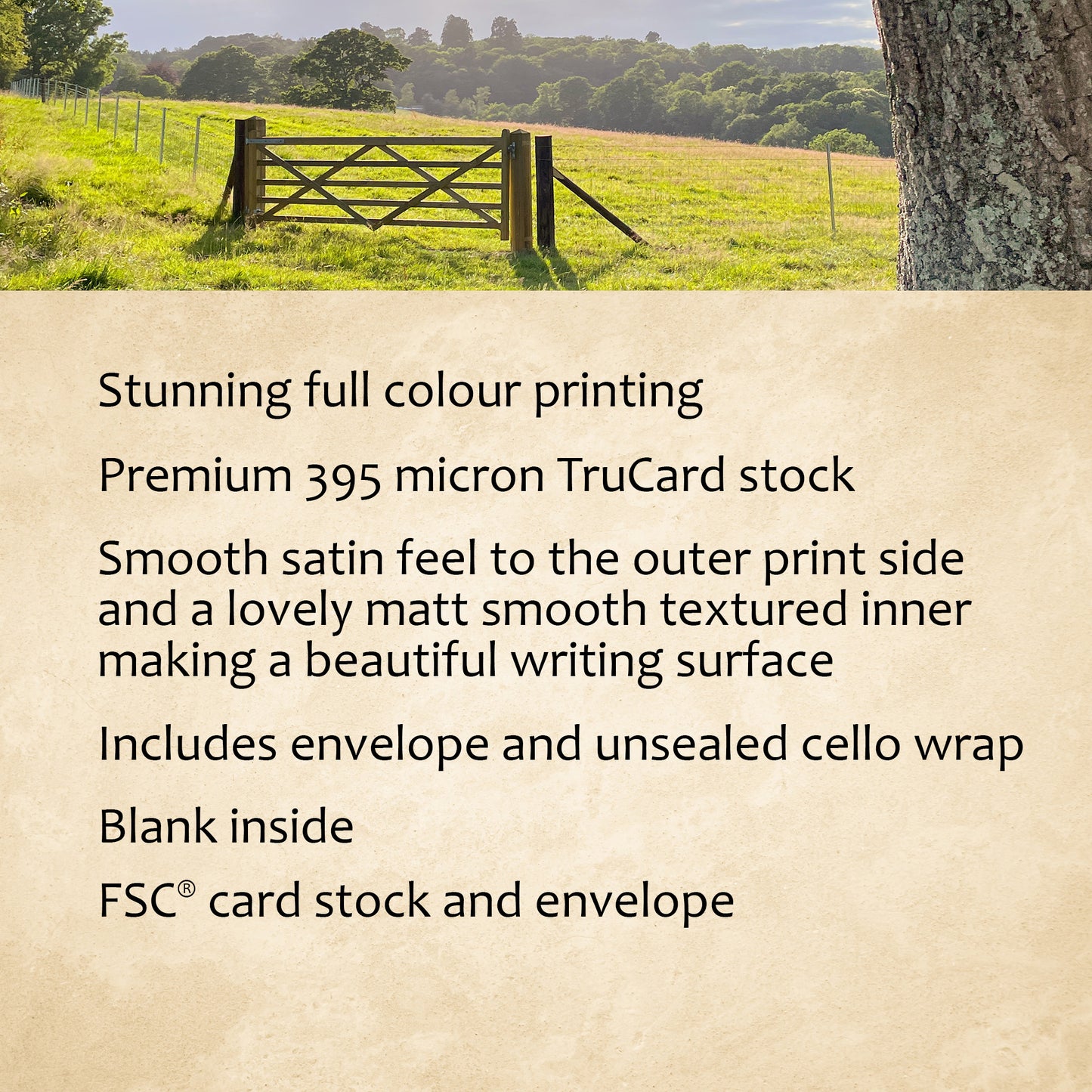 Pasture Gate Greeting Card