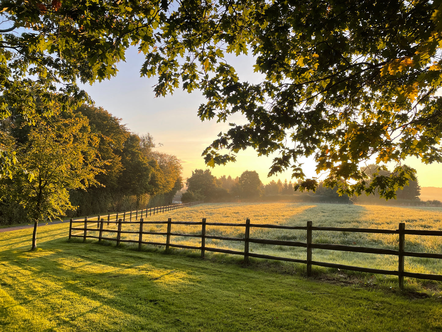 Autumn Light Greeting Card