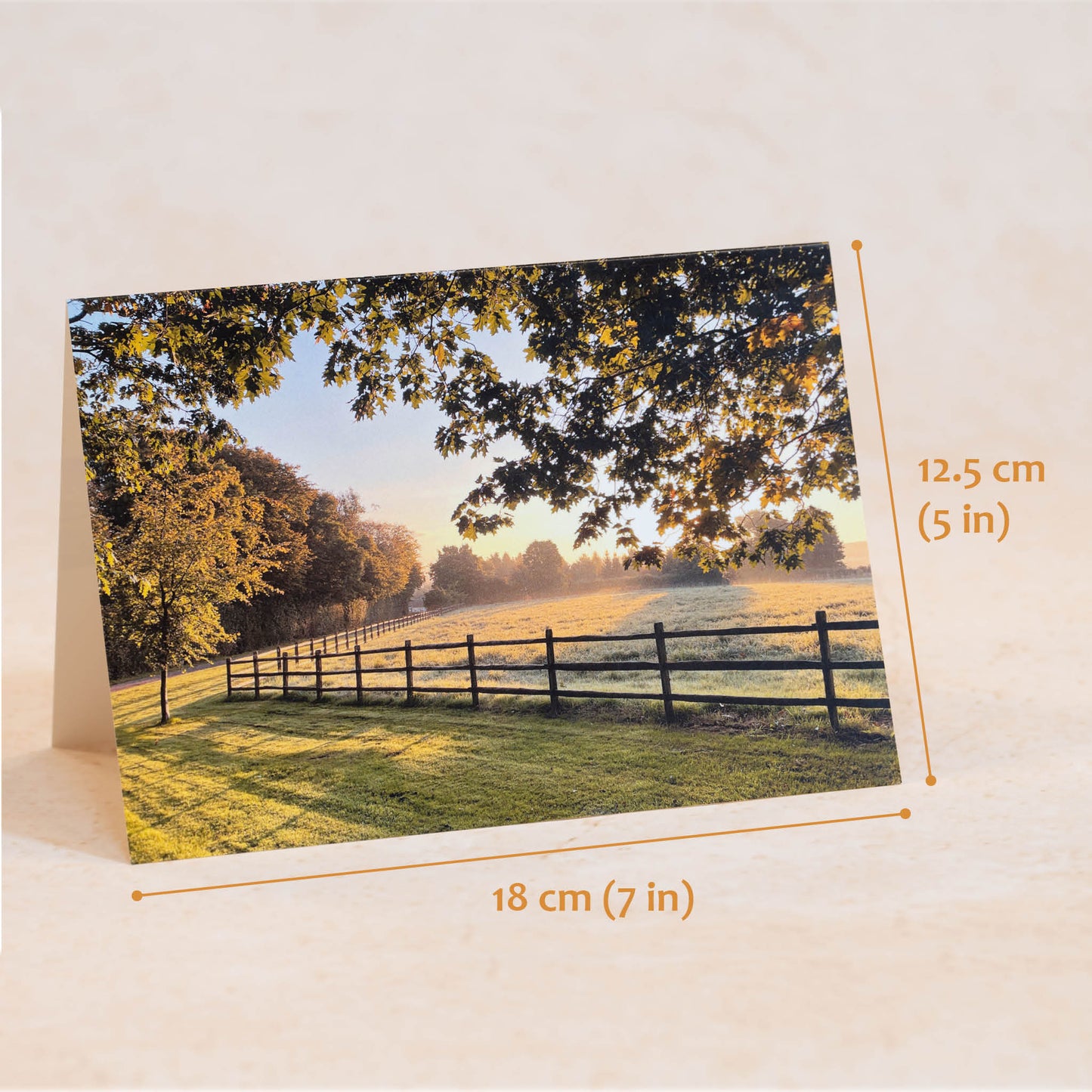 Autumn Light Greeting Card