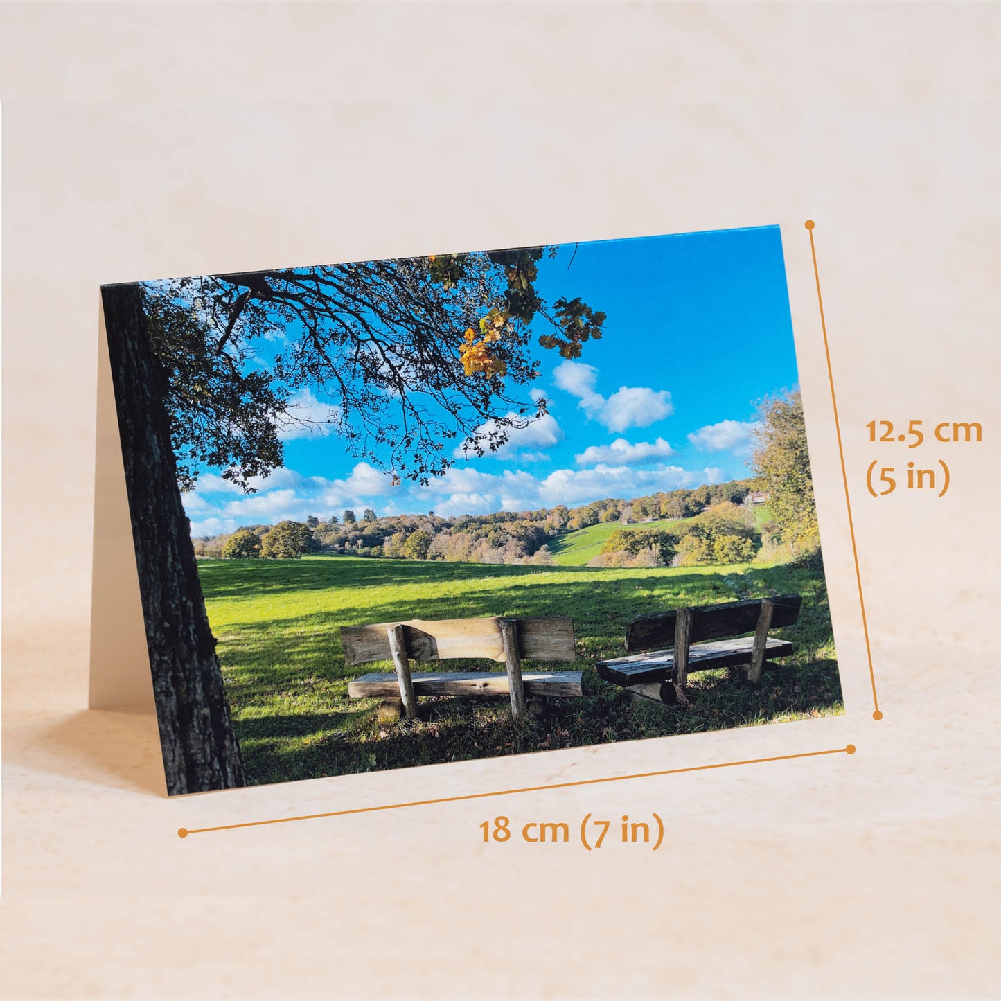 Restful Bench Greeting Card