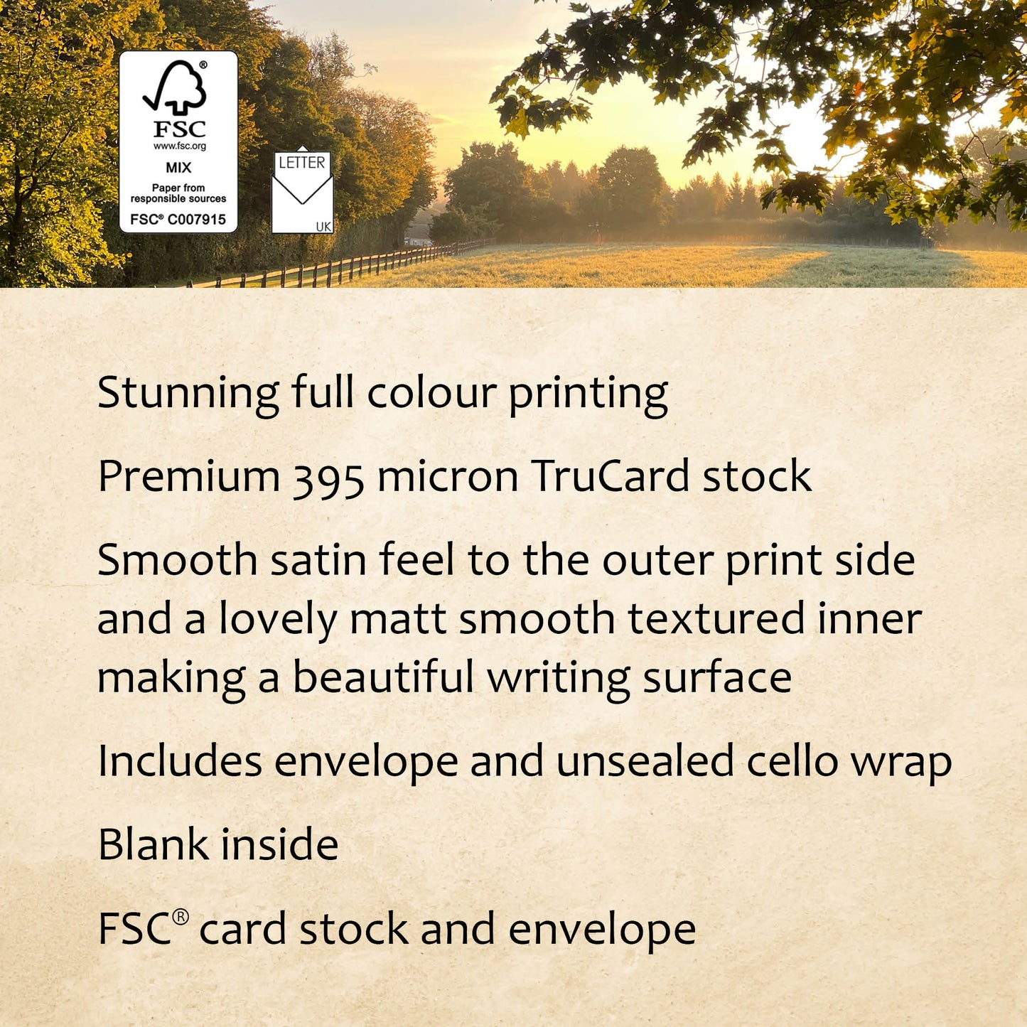 Autumn Light Greeting Card