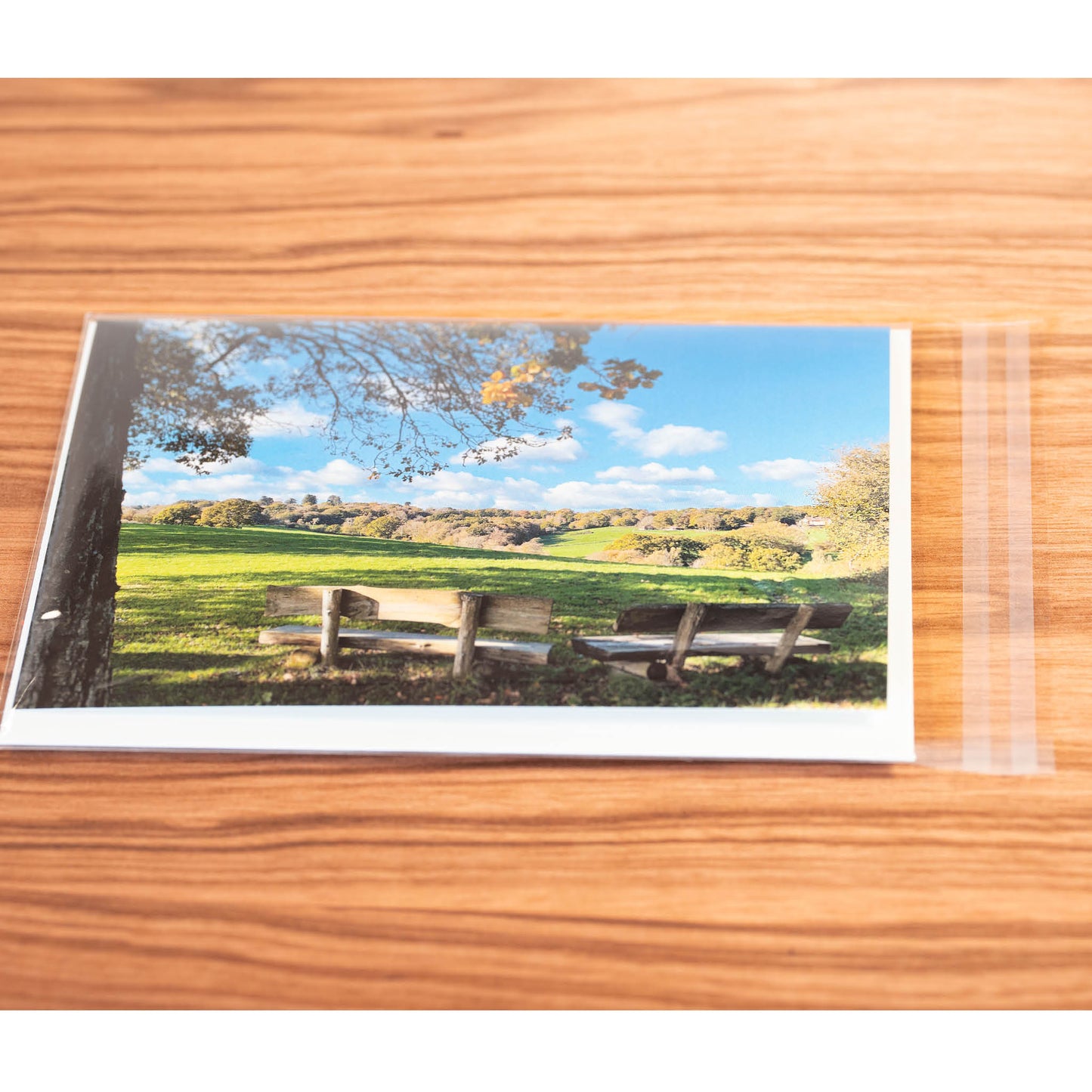 Restful Bench Greeting Card