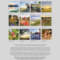 NEW! 2026 Calendar with Bible Quotes