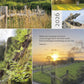 NEW! 2026 Calendar with Bible Quotes