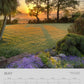 NEW! 2026 CALENDAR