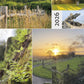 NEW! 2026 CALENDAR