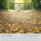2027 Calendar with Bible Quotes