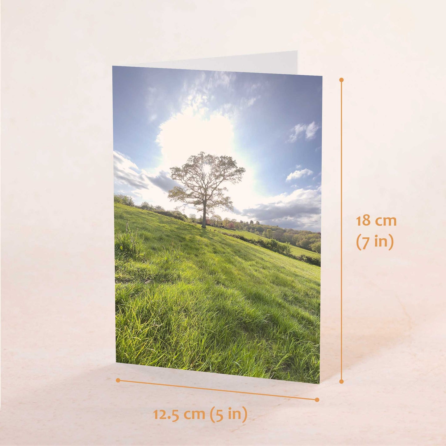 Spring Sunshine Greeting Card