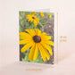 Black Eyed Susans Greeting Card