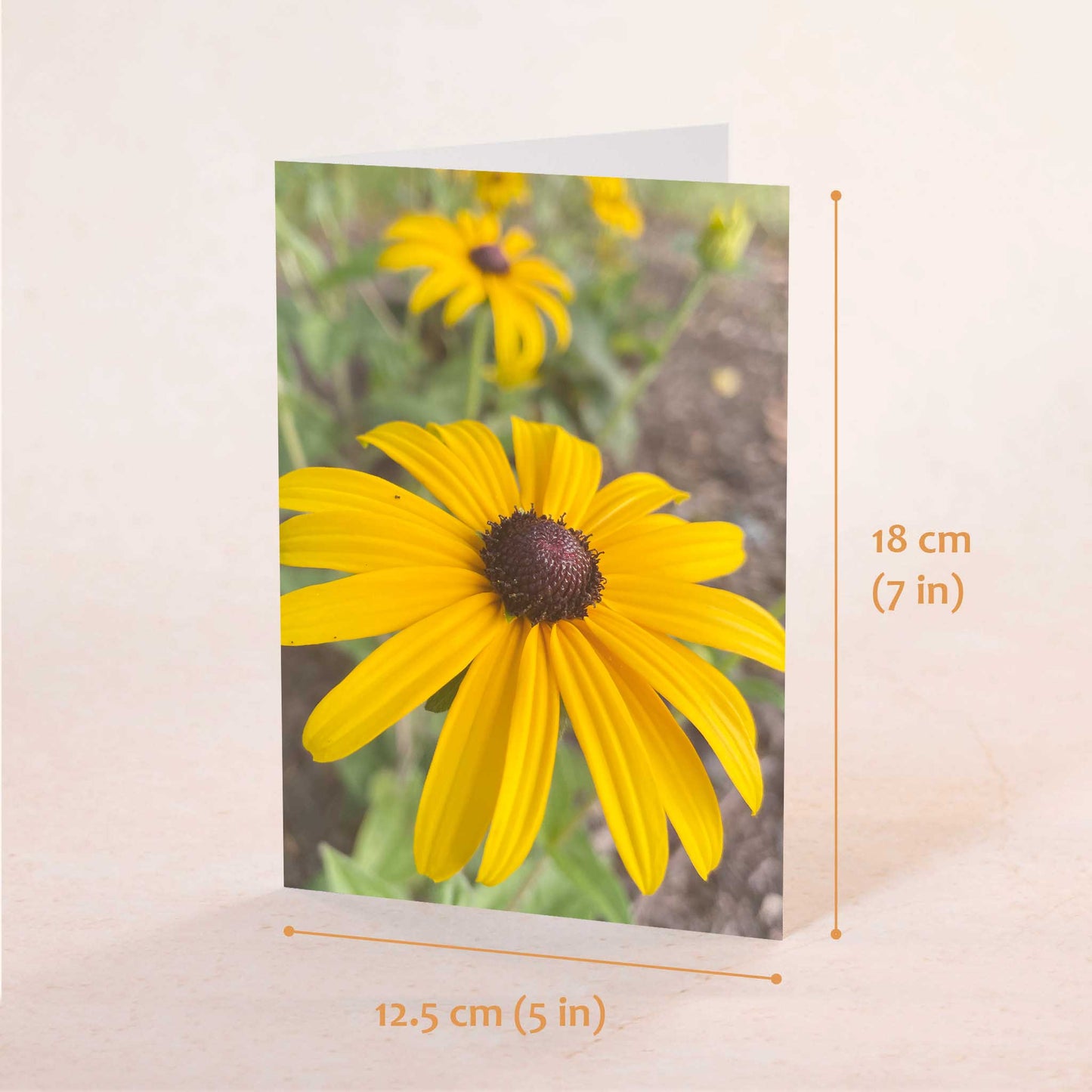Black Eyed Susans Greeting Card