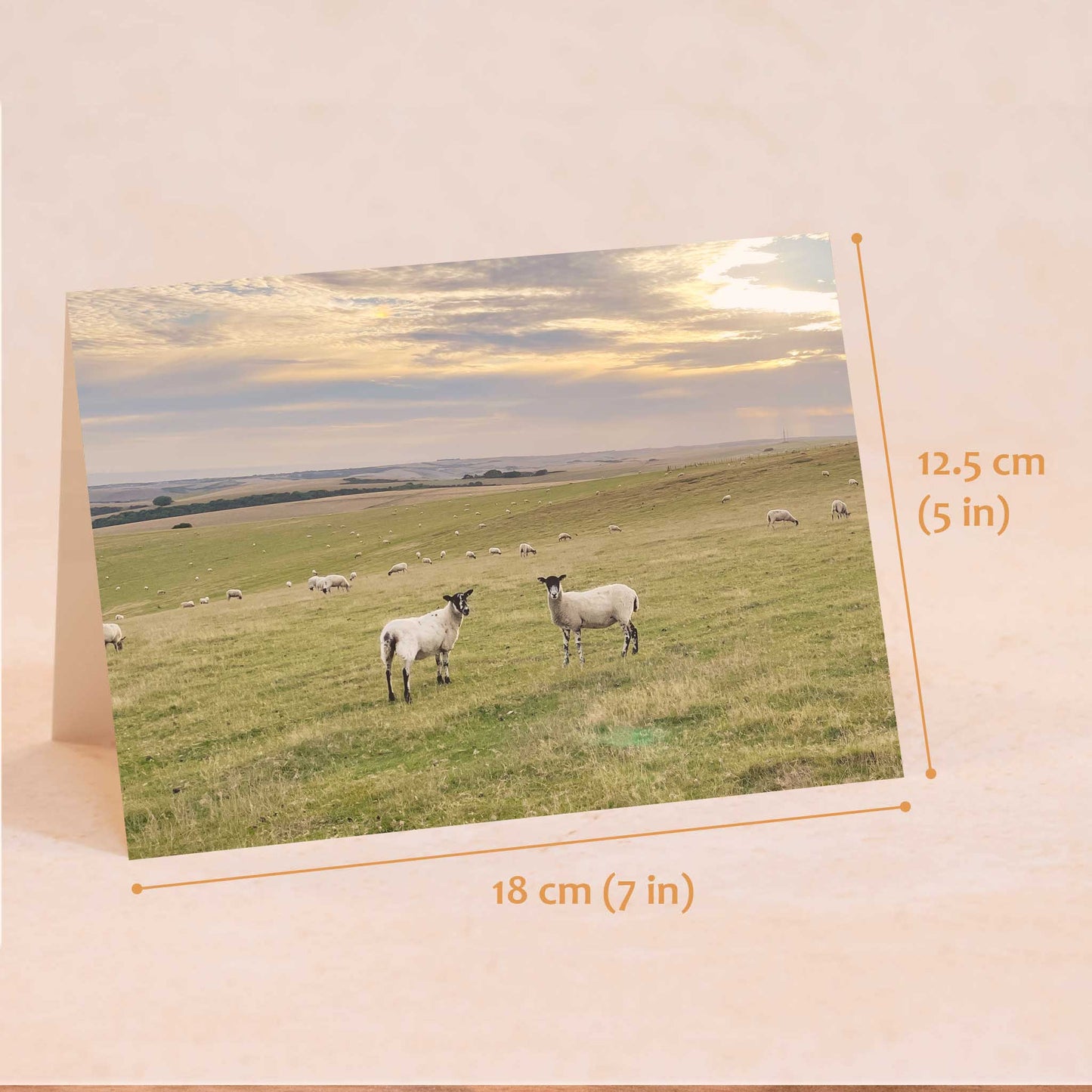 Firle Beacon Slopes Greeting Card