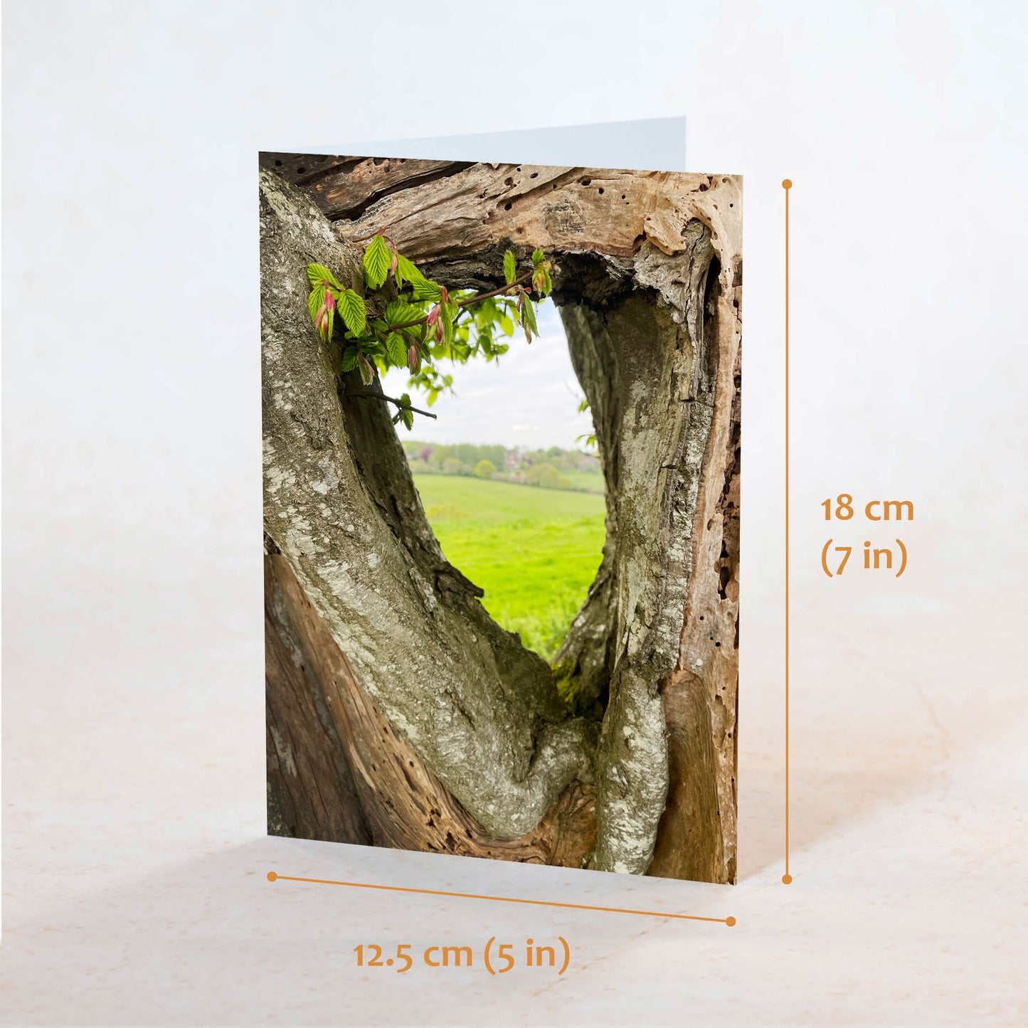 "Framed" Greeting Card