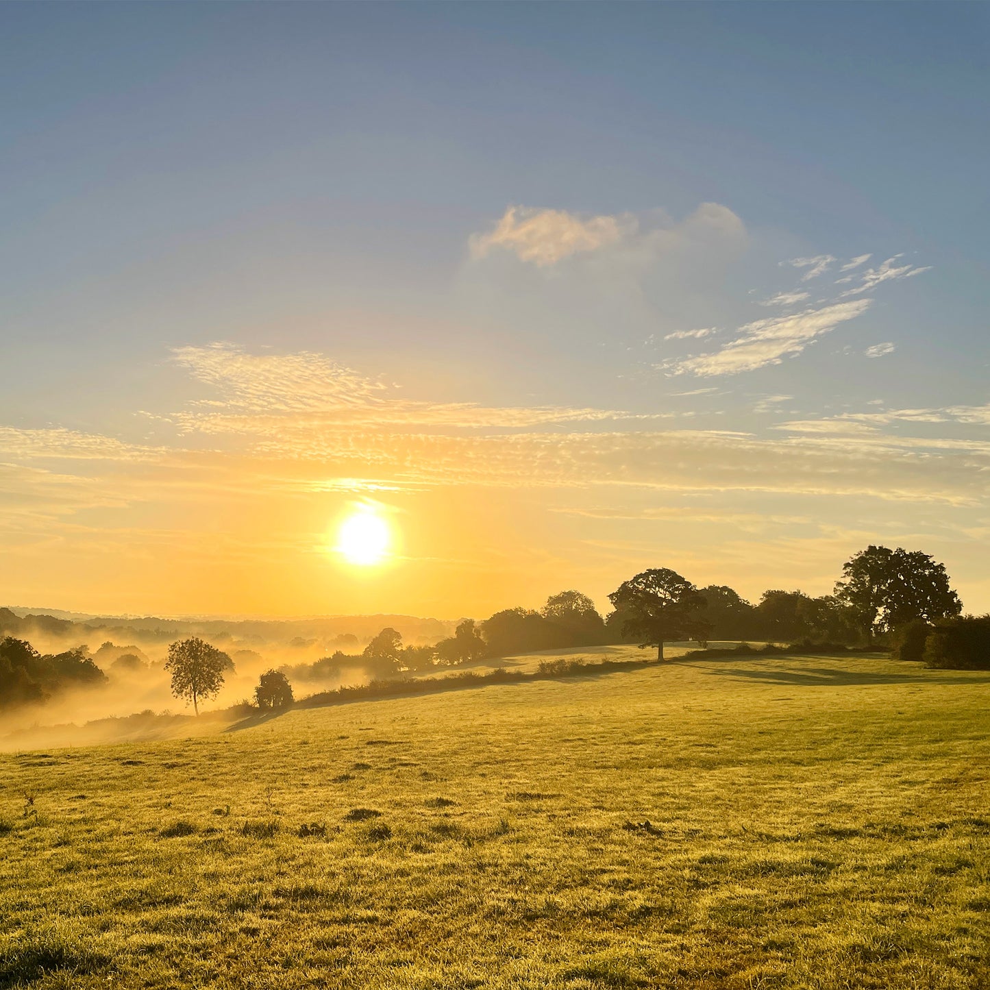 Morning Sun Print