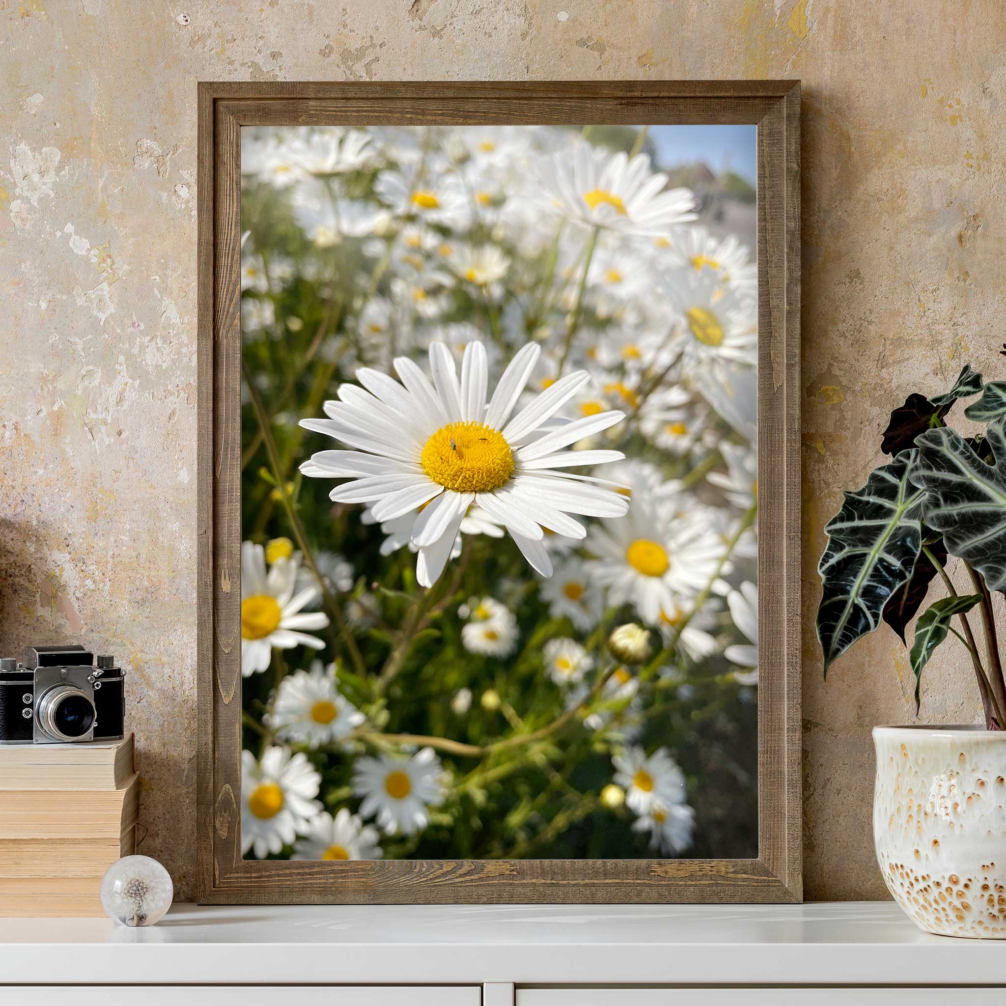 Screenprint Daisy Daisy Glory Print – Shot While Blind