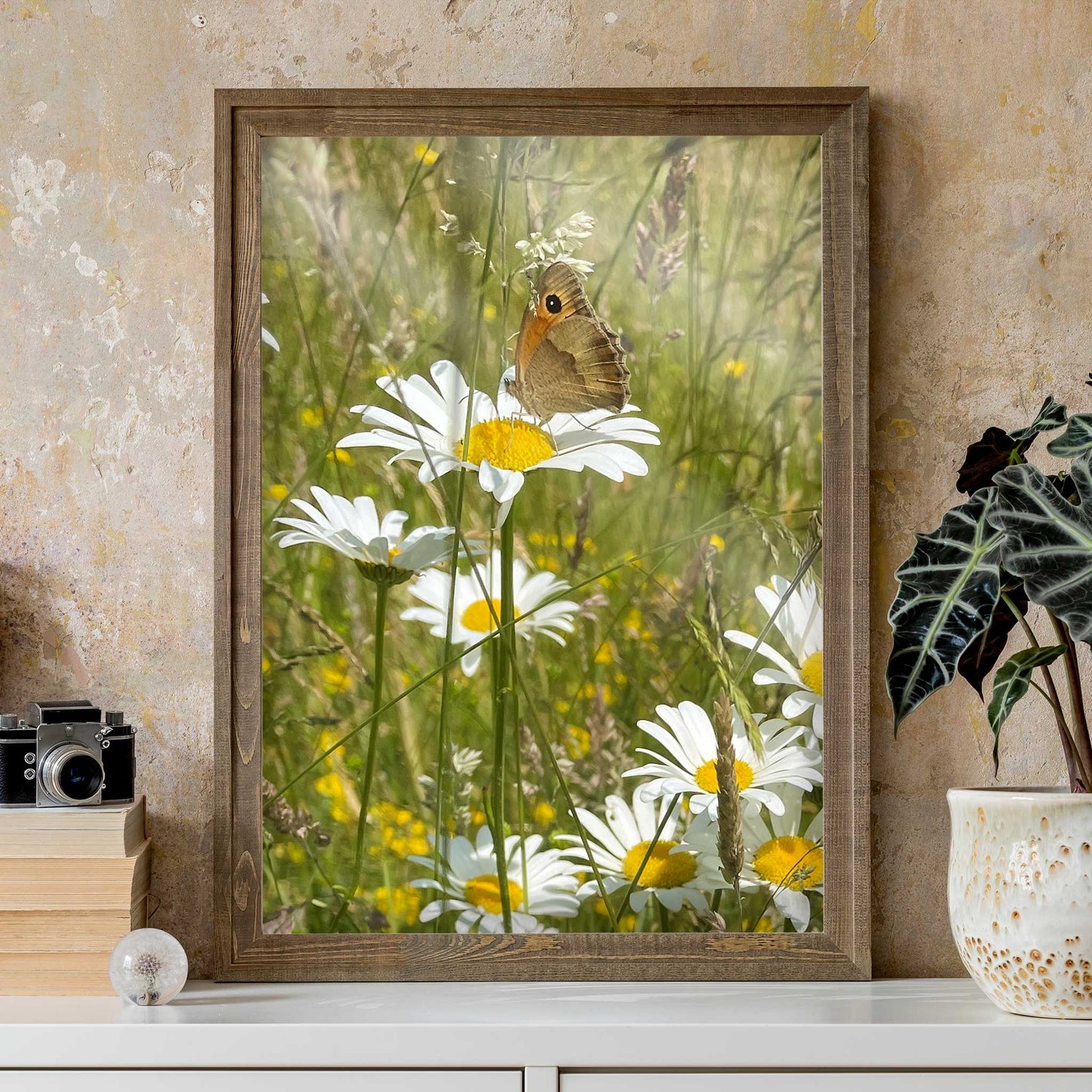 Butterfly On Daisy Print