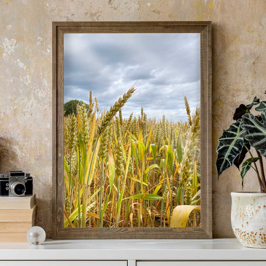 Wheat Field Print