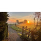 Farm Gate Print