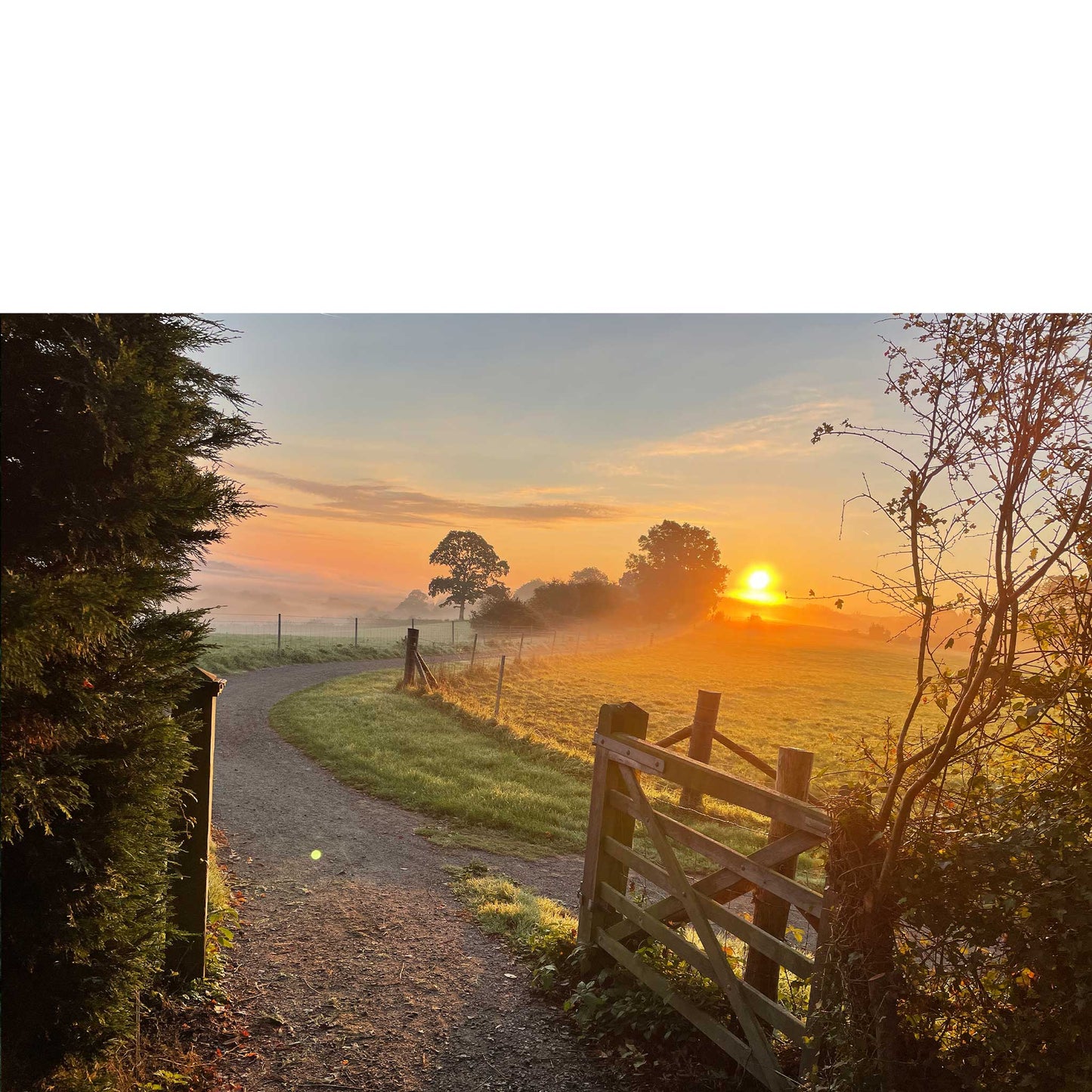 Farm Gate Print