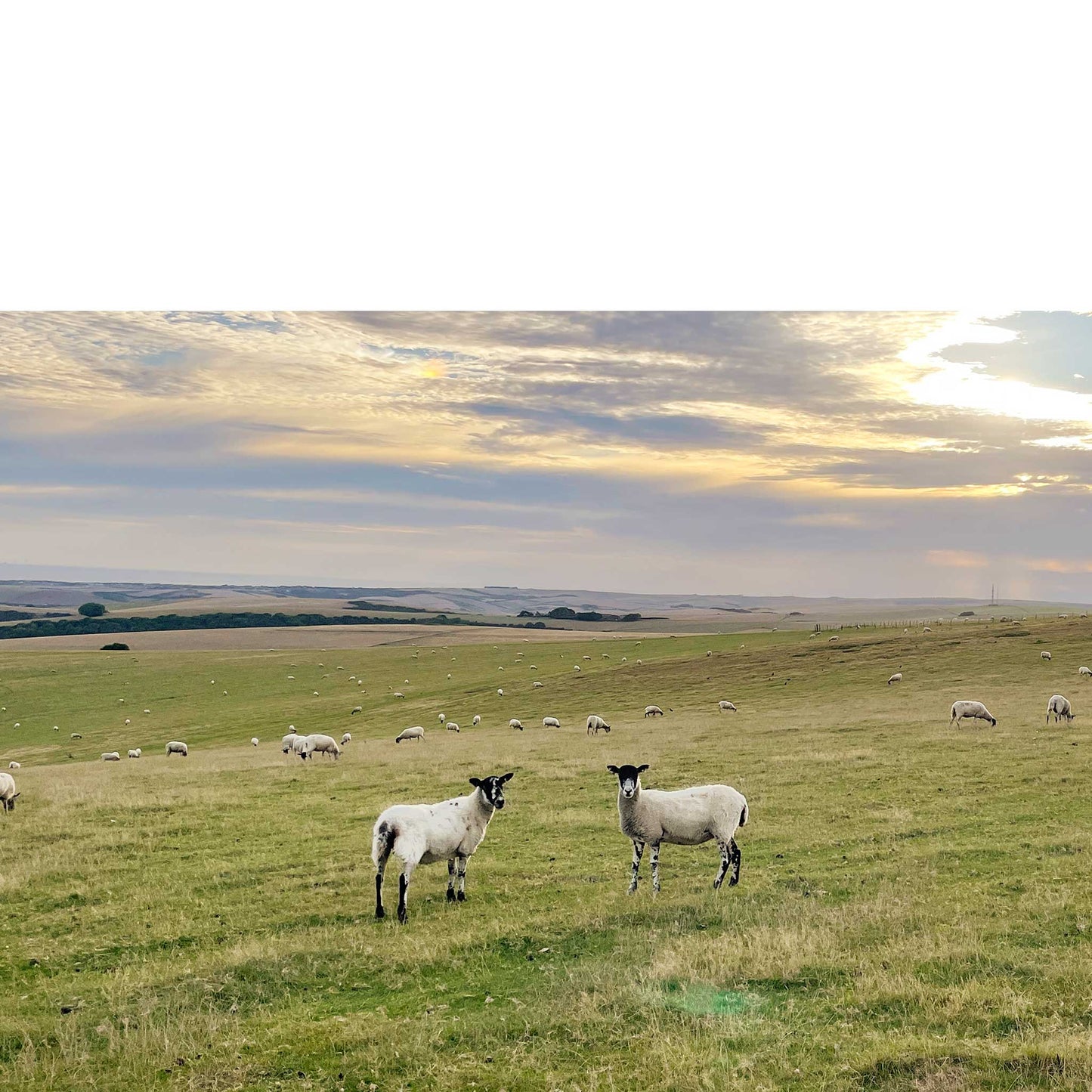Firle Beacon Slopes Greeting Card