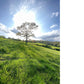 Spring Sunshine Greeting Card