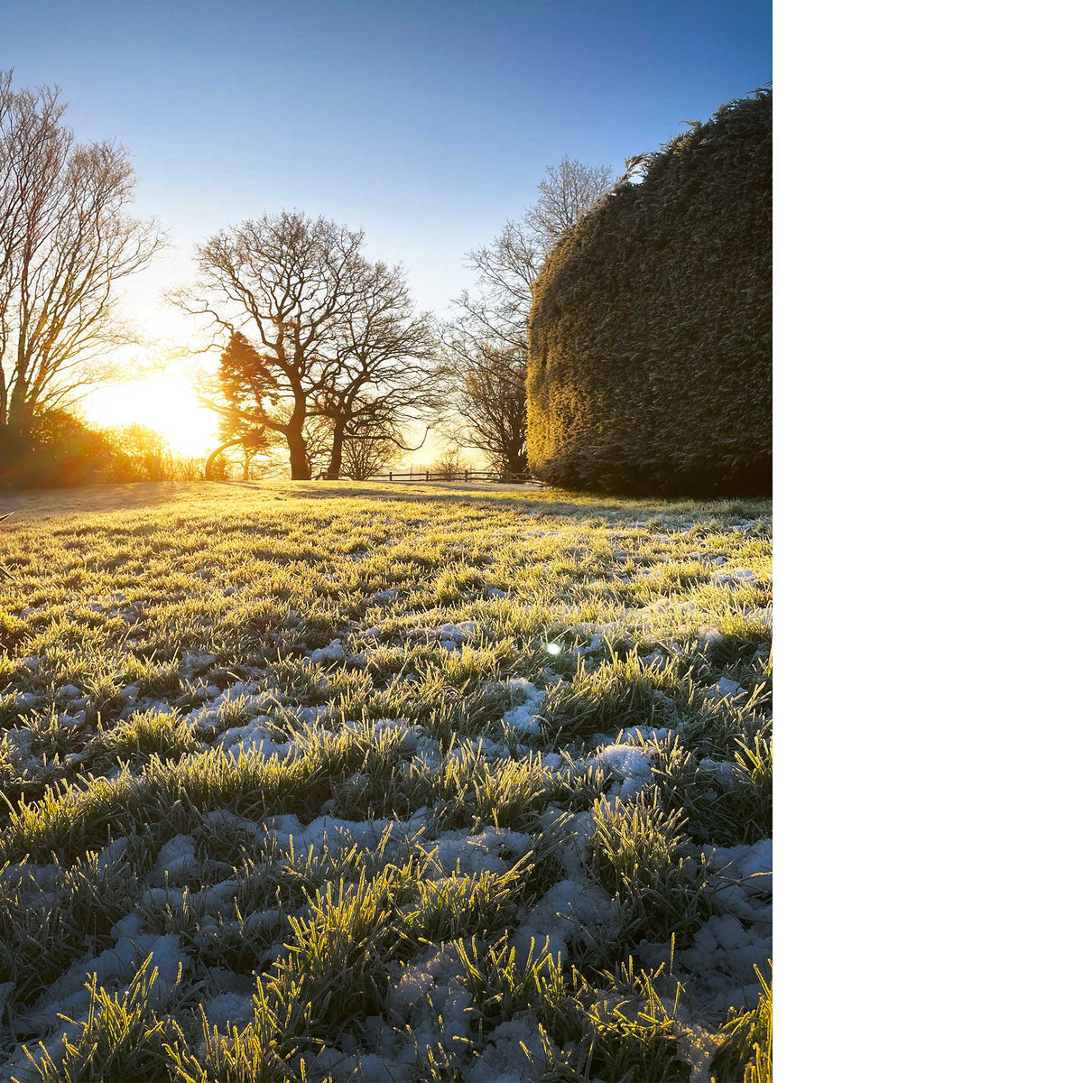 Winter Sun