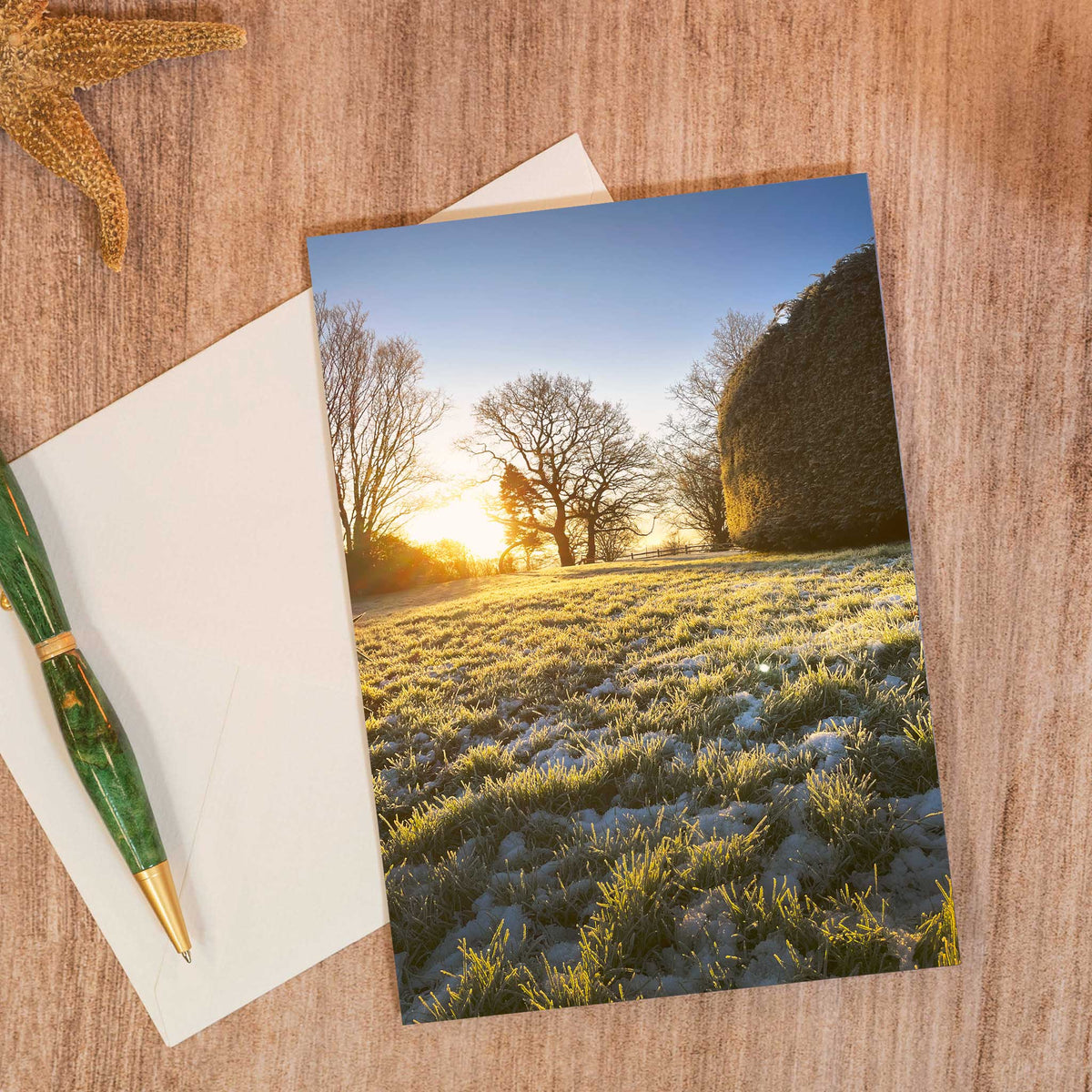 Winter Sun