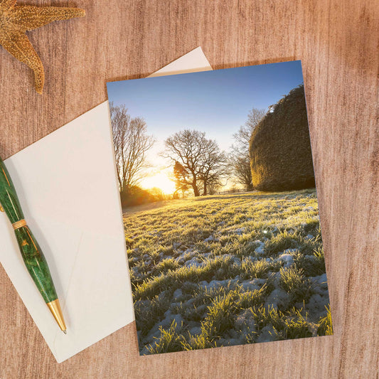 Winter Sun